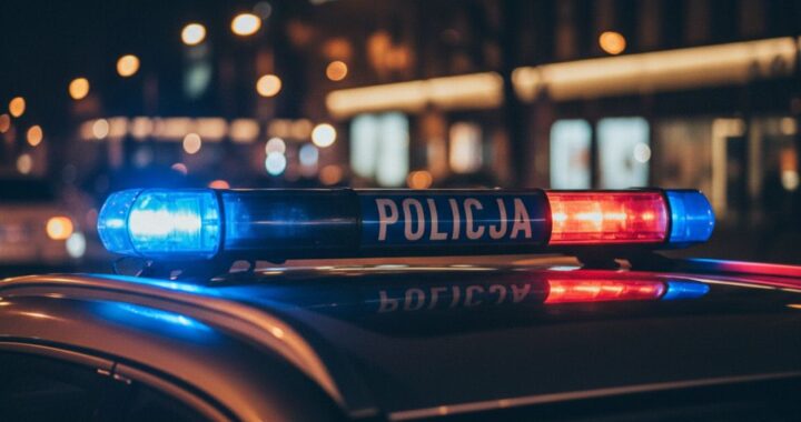 rozbicie-mi--dzynarodowej-grupy-przest--pczej-prze-auto-6949