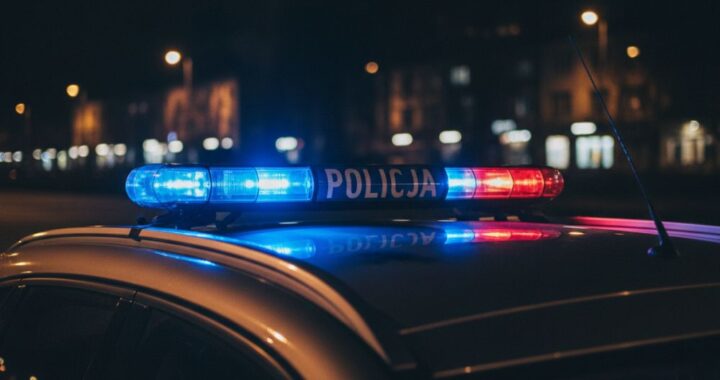 policjanci-wydzia--u-do-walki-z-przest--pczo--ci---auto-6948